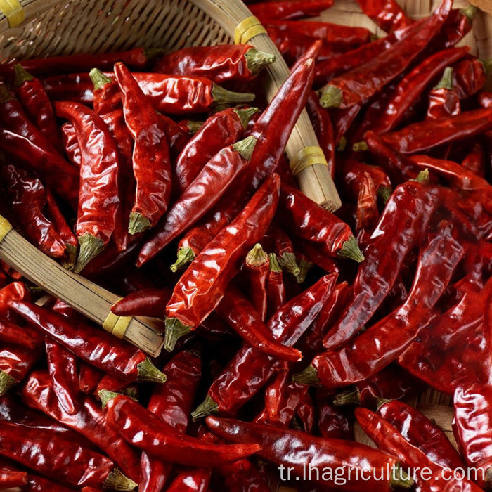 Toptan fiyat yüksek kaliteli kırmızı biber sichuan baharat